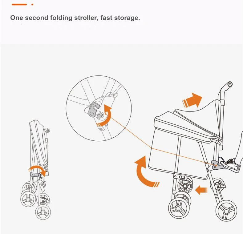 cat trolley cat trolley